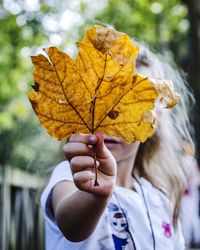 Close-up of hand holding maple leaf