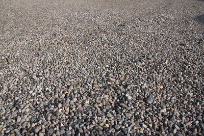 Full frame shot of pebbles
