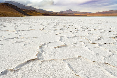 Salt crust in the shore of lagoon and salt lake tuyajto, chile