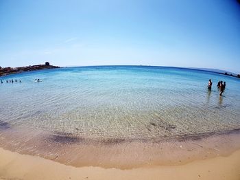 Scenic view of beach against clear blue sky