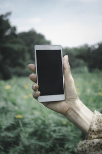 Woman holding smartphone with blank screen on white background, closeup of hand,  mock up, taxes 