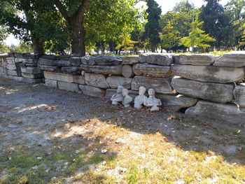 View of birds on wall