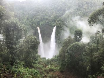 Scenic view of waterfall in forest