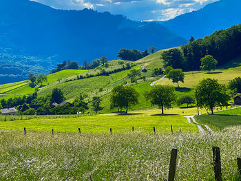 Scenic view of field against sky