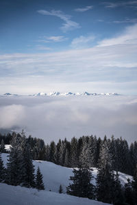 Scenic view of snow covered mountains against sky