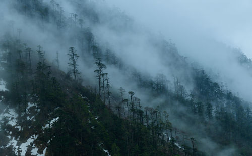 Panoramic view of trees and mountains during foggy weather