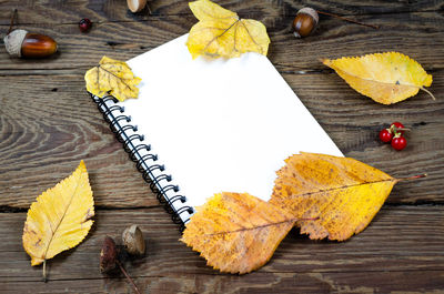 High angle view of maple leaves on table