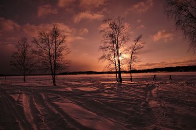 Silhouette bare trees on field against sky during sunset