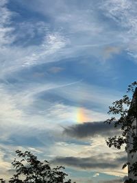 Low angle view of tree against sky