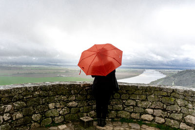 Full length rear view of man standing in rain