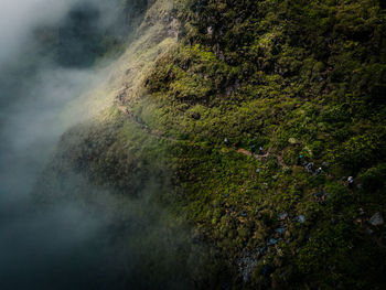 Climbing mount rinjani, indonesia.  a long hike on a beautiful mountain shrouded in fog.