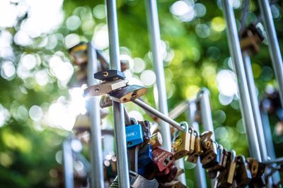 Close-up of padlocks on railing