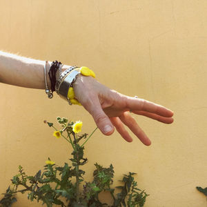 Cropped hand of woman holding plant