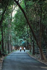 Rear view of people walking on road amidst trees