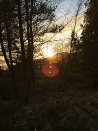 Scenic view of landscape at sunset