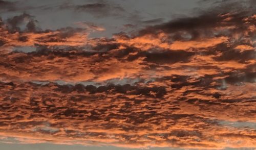 Low angle view of dramatic sky during sunset