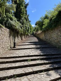Low angle view of steps amidst trees against sky