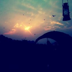 Silhouette of birds on railing at sunset