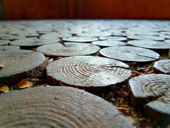 Close-up of logs