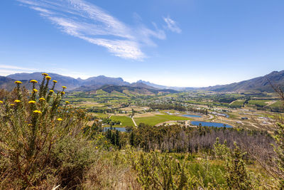 View to franschhoek town and valley in  with centuries-old vineyards, western cape