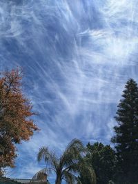 Low angle view of trees against cloudy sky