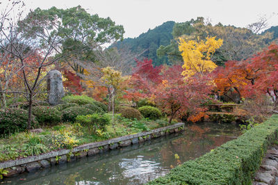 Scenic view of river by trees during autumn