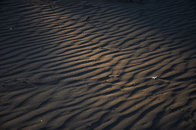 Full frame shot of sand dunes