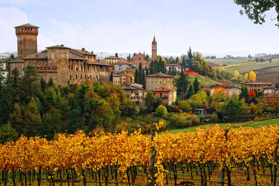 View of vineyard and plants in front of church