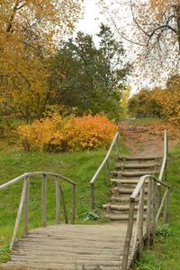 Wooden stairs amidst trees on grassy field