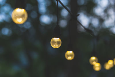 Low angle view of raindrops on tree against sky