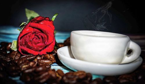 Close-up of rose in cup on table