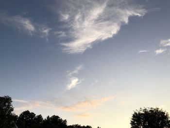 Low angle view of trees against sky