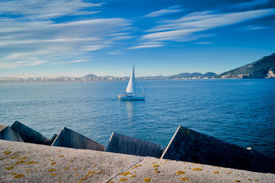 Sailboat on sea against sky