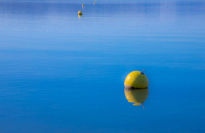 Yellow floating on water