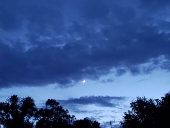 Low angle view of silhouette trees against sky at night