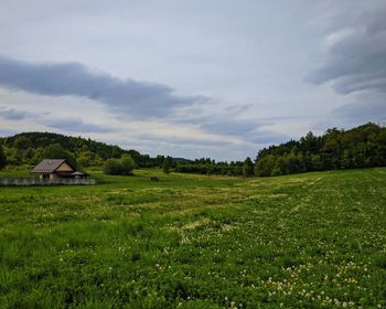 Scenic view of field and houses against sky