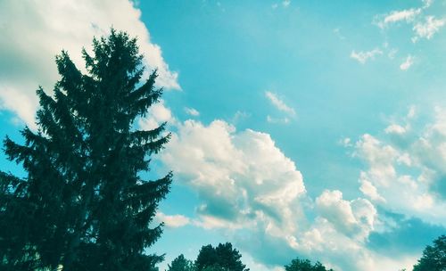 Low angle view of trees against cloudy sky