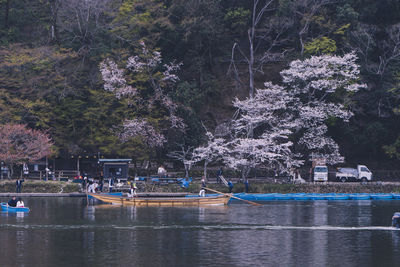 Scenic view of lake by trees