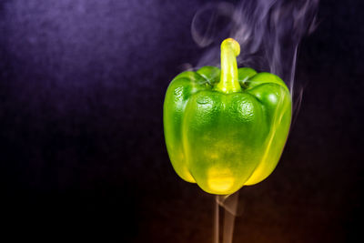 Close-up of lemon slice on table against black background