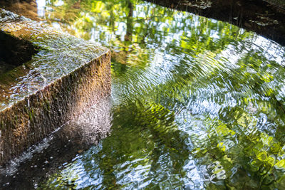Reflection of trees in river