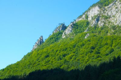 Low angle view of tree mountain against clear sky