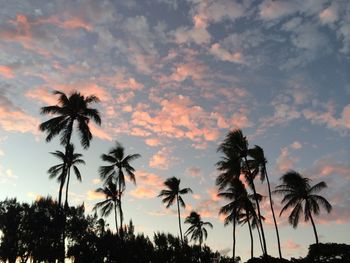 Silhouette palm trees against sky during sunset