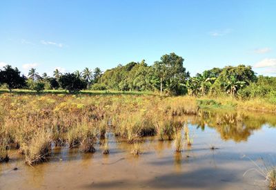 Scenic view of lake against sky