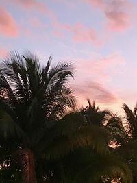 Low angle view of palm trees against sky at sunset