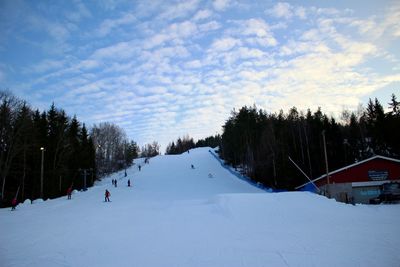 View of people skiing on snow covered landscape against sky