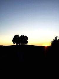 Silhouette of trees at sunset