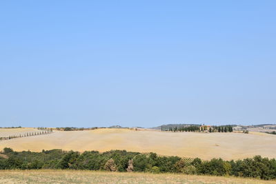 Harvested field in val d'orcia during summer
