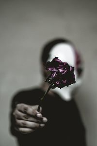 Close-up of hand holding rose flower