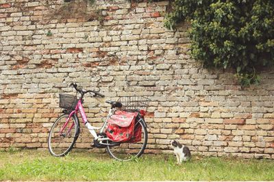 Bicycles on brick wall