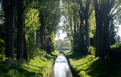 Düsseldorf river